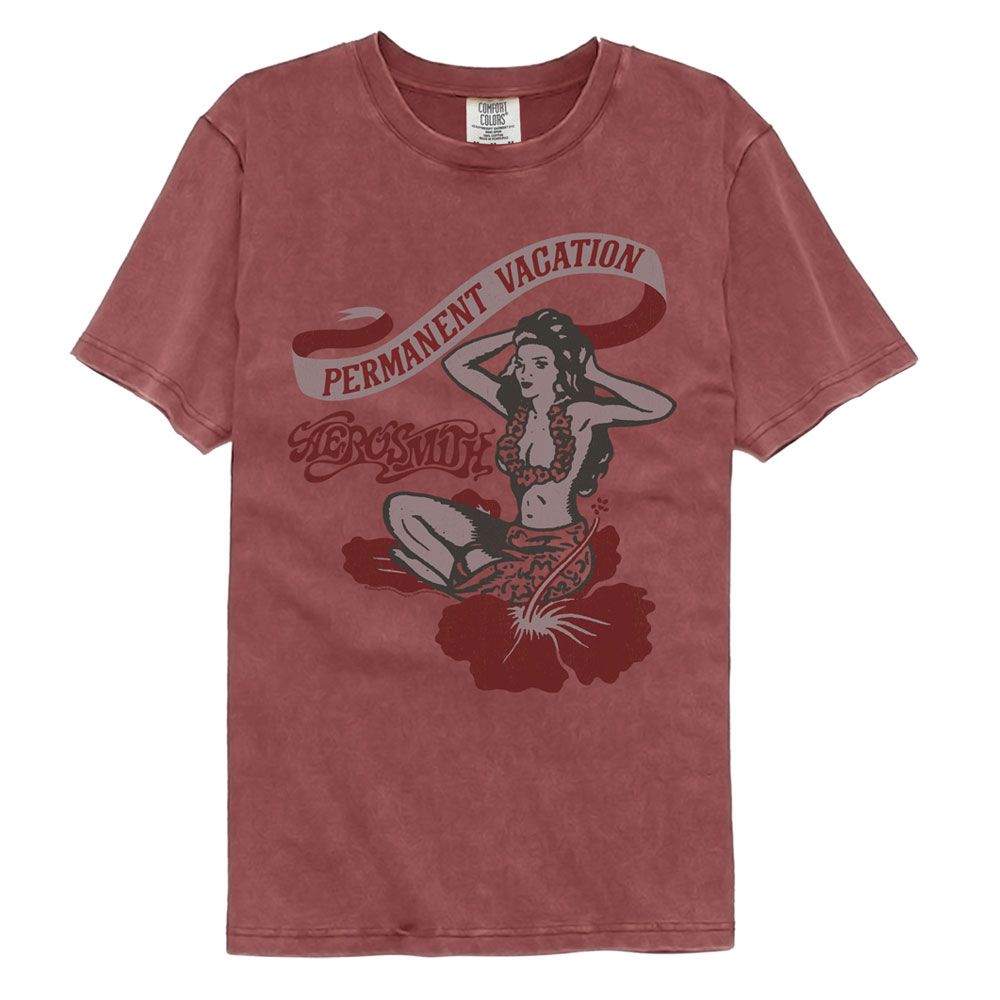 Aerosmith PV Comfort Colors T-Shirt | Blue Culture Tees