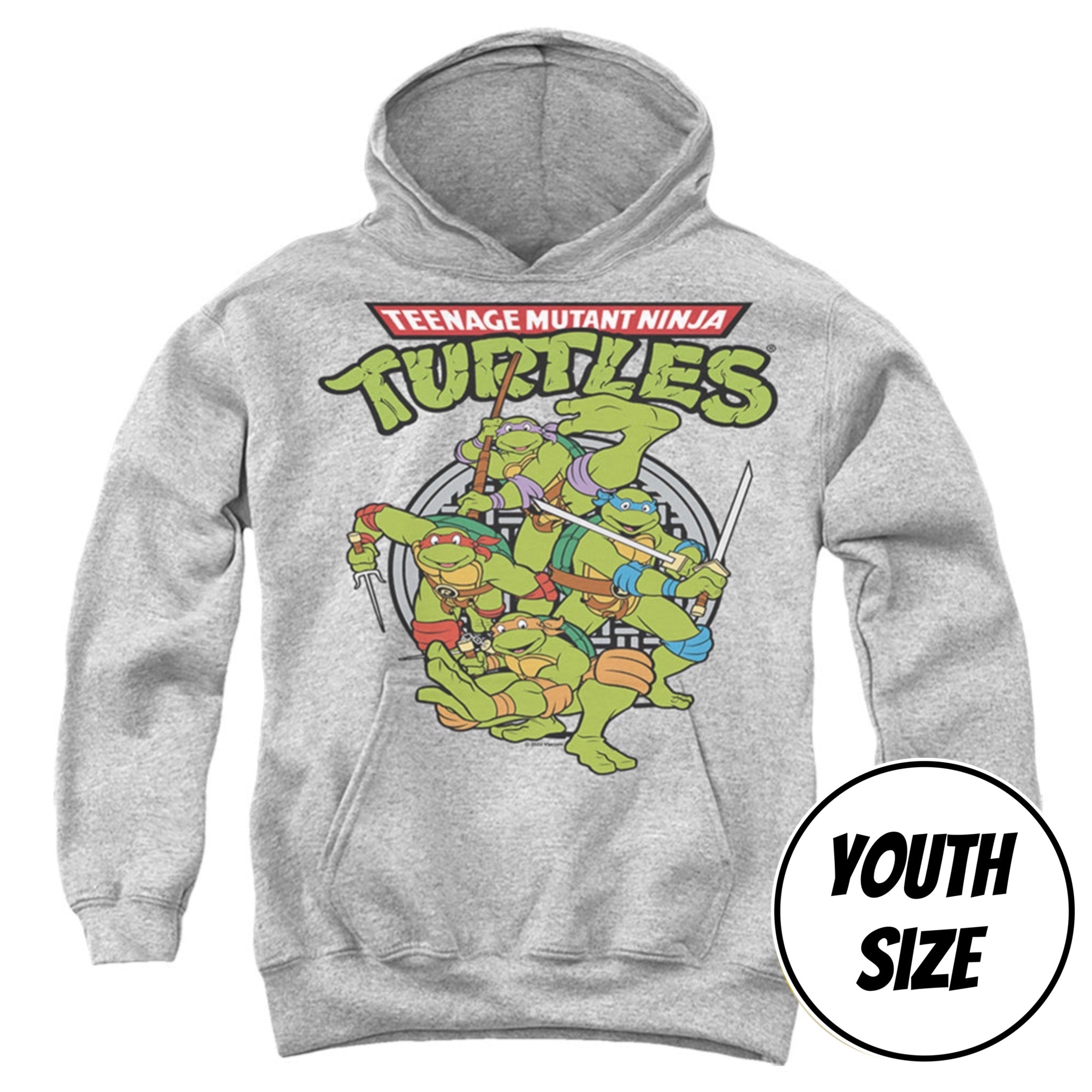 Youth Teenage Mutant Ninja Turtles TMNT Group Pullover Hoodie