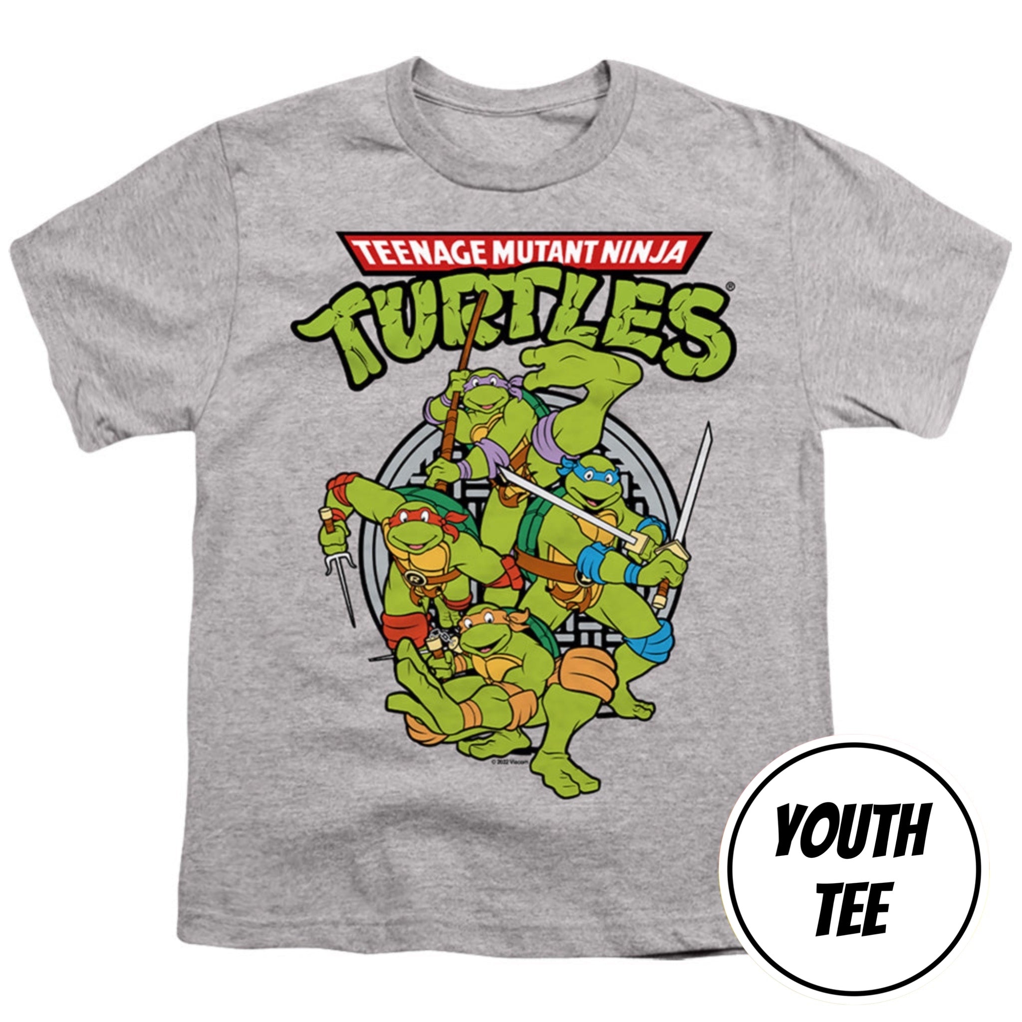 Youth Teenage Mutant Ninja Turtles TMNT Group T-Shirt