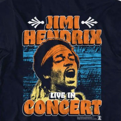 Jimi Hendrix In Concert T-Shirt