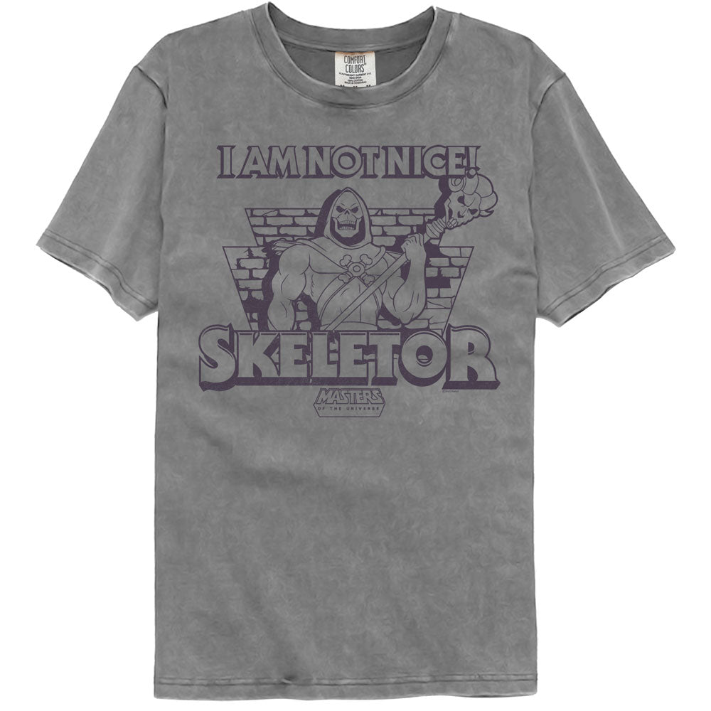 Masters Of The Universe Not Nice Skeletor Comfort Colors T-Shirt