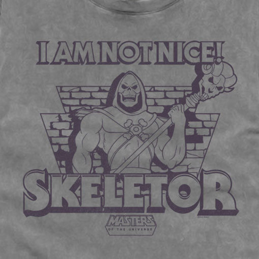Masters Of The Universe Not Nice Skeletor Comfort Colors T-Shirt