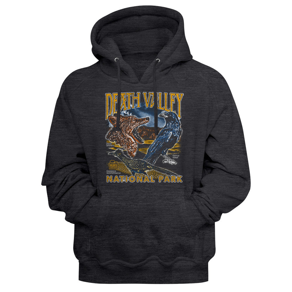 A dark heather gray hoodie featuring a vintage-style graphic print of Death Valley National Park with a desert landscape, a blue bird, and yellow text.