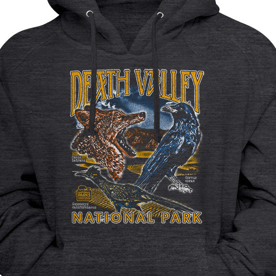 A dark heather gray hoodie featuring a vintage-style graphic print of Death Valley National Park with a desert landscape, a blue bird, and yellow text.