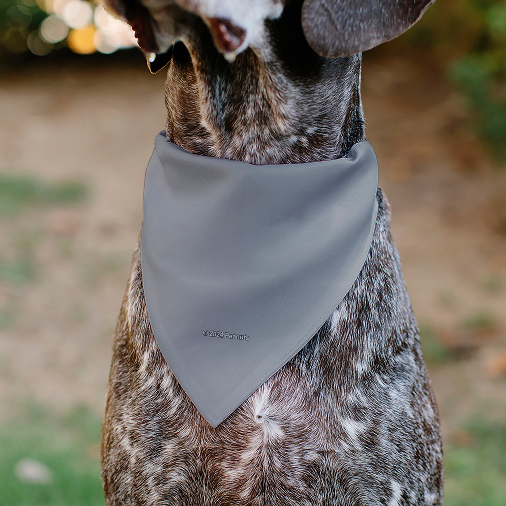 Pet Bandana - Peanuts Gang Floating Astronauts Group Pose Gray