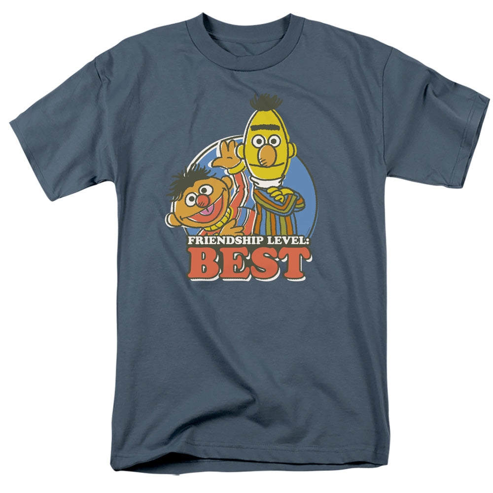 Sesame Street Bert & Ernie Friendship Level: Best T-Shirt