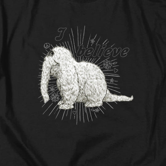 Sesame Street Snuffleupagus I Believe T-Shirt