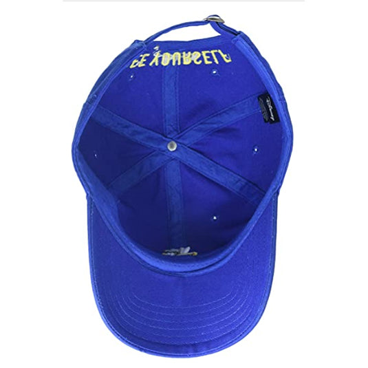 Disney Aladdin Genie Bee Yourself Dad Cap